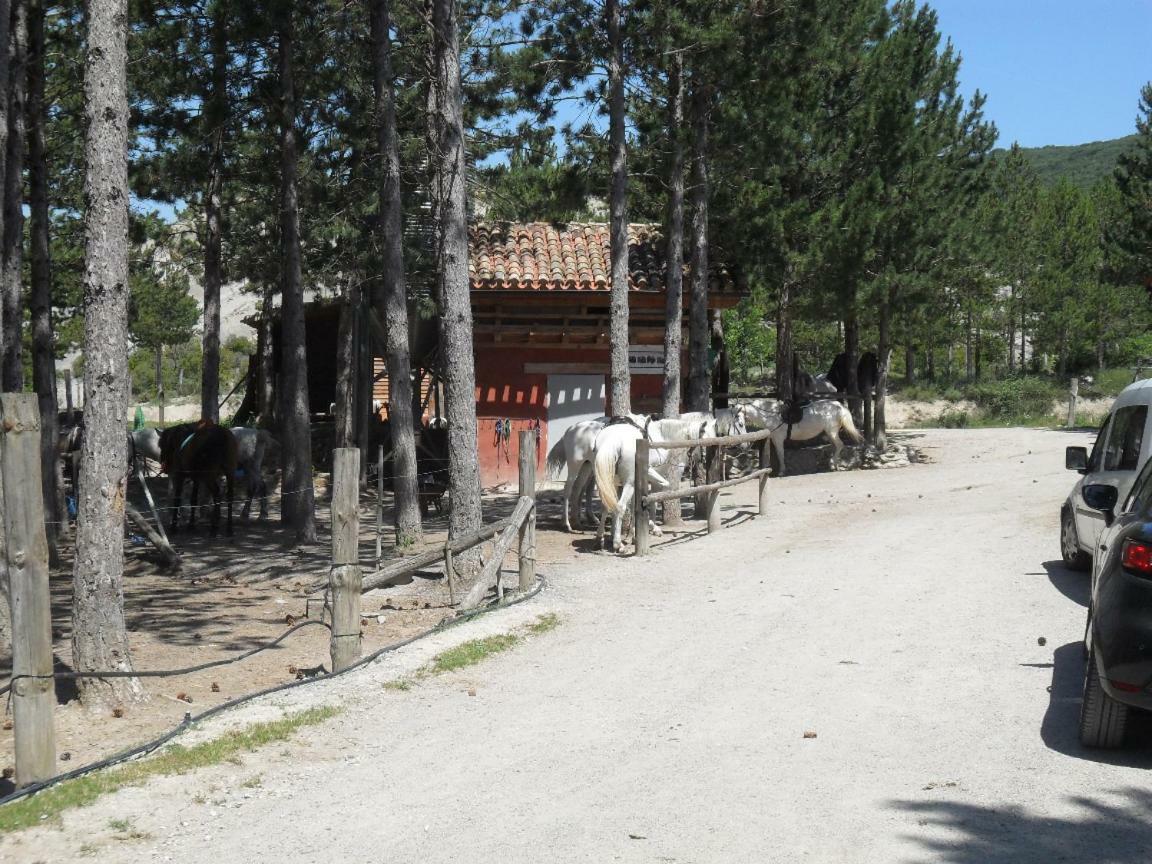 Bienvenidos A Vuestra Casa! Lejlighed Sansoáin Eksteriør billede